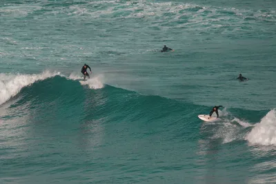 Surfista cogiendo una ola
