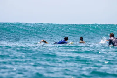 Niños en el campus de surf